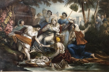 MOISES SALVADO DE LAS AGUAS