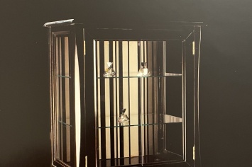 VITRINA DE DOS PUERTAS
