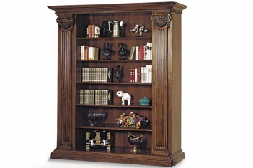 LIBRERIA CON PILASTRAS