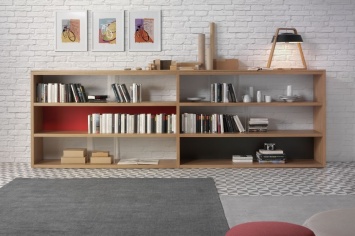 BIBLIOTECA EN VARIOS COLORES