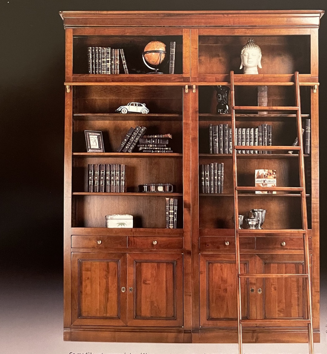 BIBLIOTECA EN CEREZO