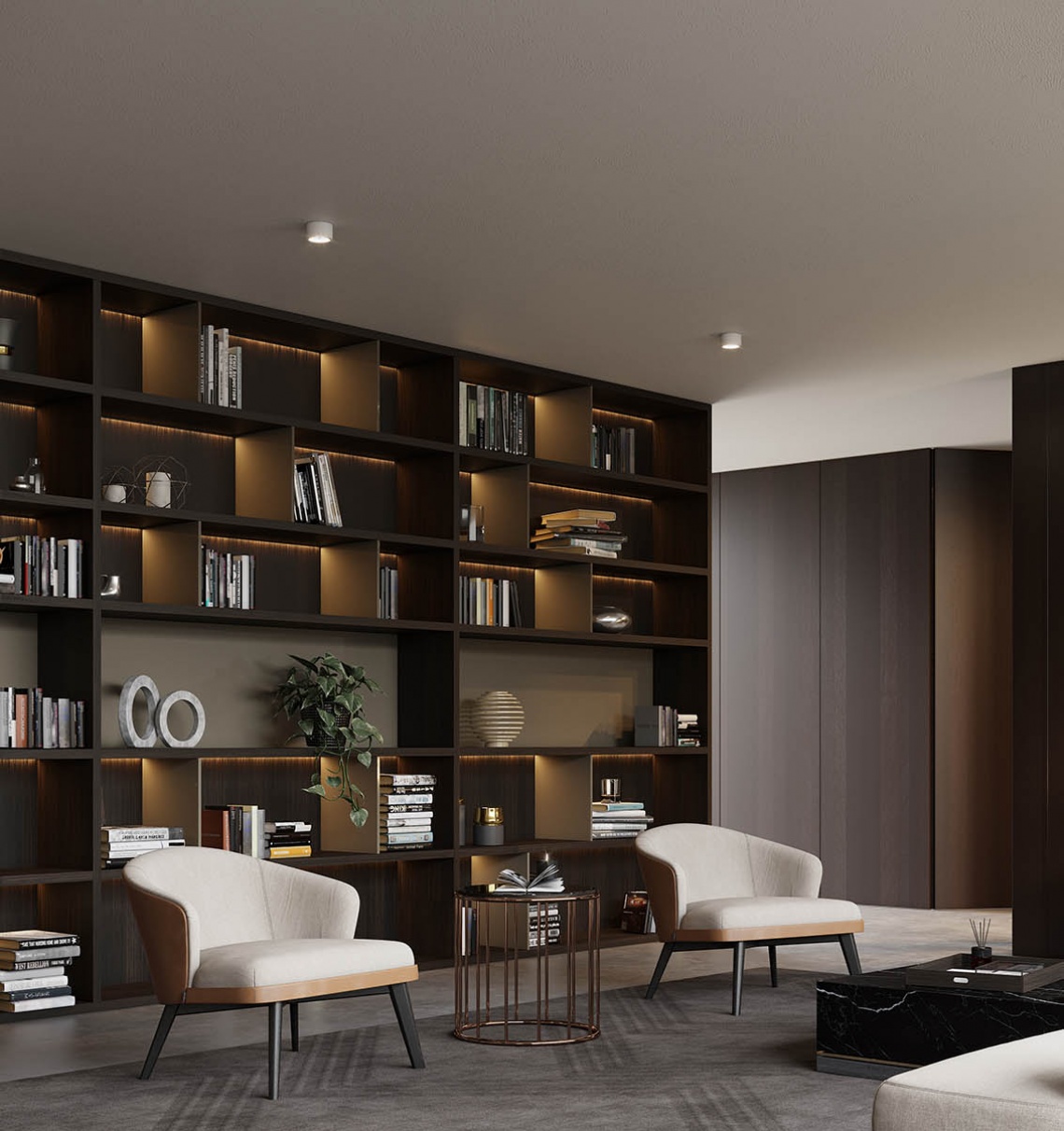 3599 LIBRERIA CON LUCES