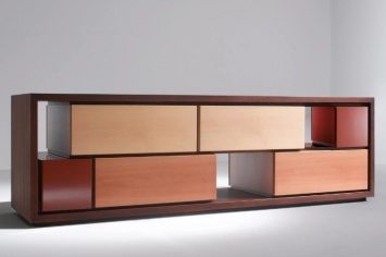 MODULO PARA LA TV