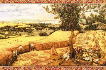 284 TAPIZ